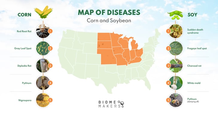 Top Diseases Corn and Soy US