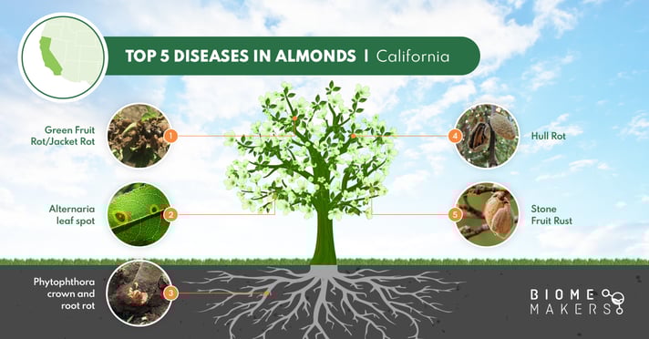 Top Diseases Almonds California