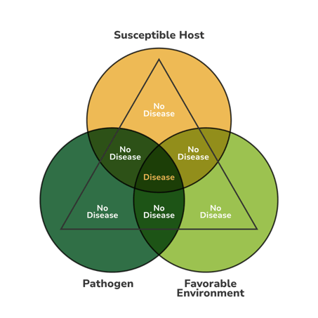 The disease triangle