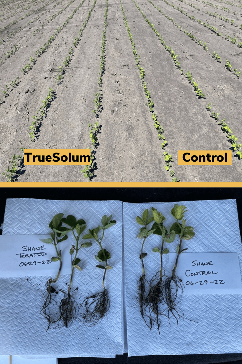 blog Soil Analysis Accelerates Product Development Here’s How (1)