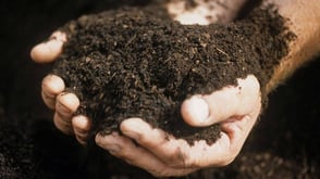 Healthy Soil