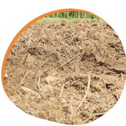 Dimensions of soil health: Soil and Roots