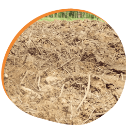 Dimensions of soil health: Soil and Roots