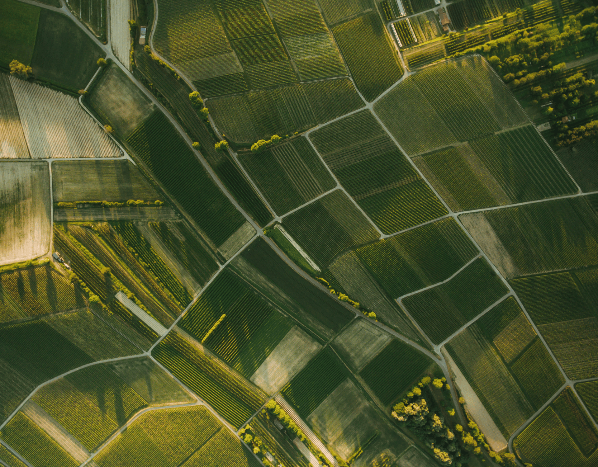 aerial farmland bkg