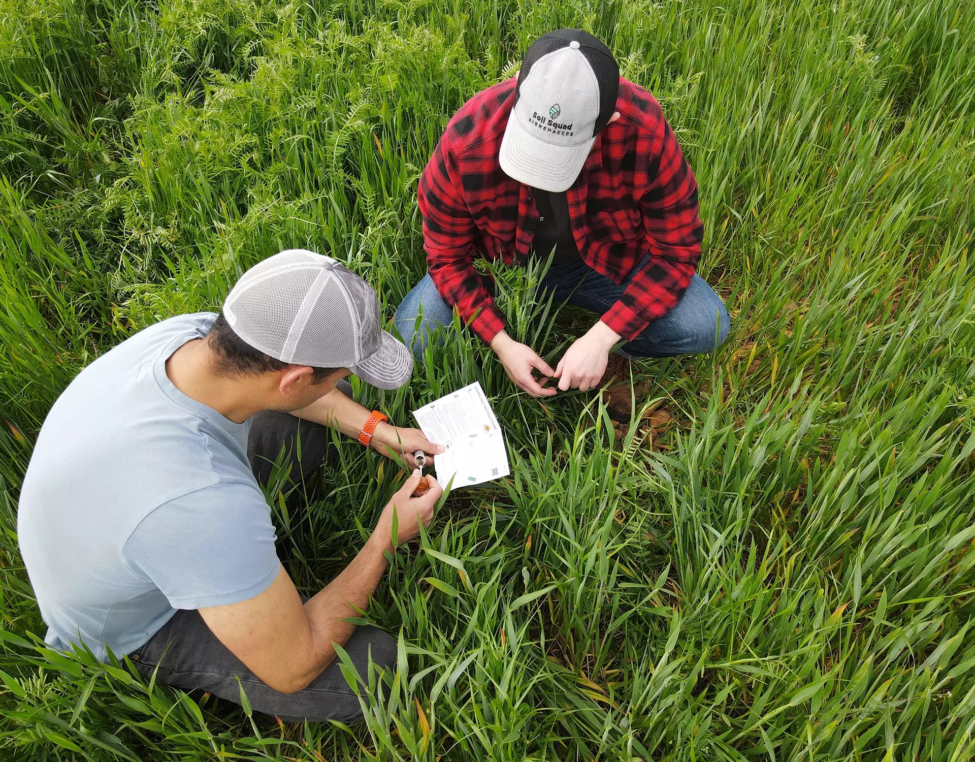 BeCrop Trials product bkg