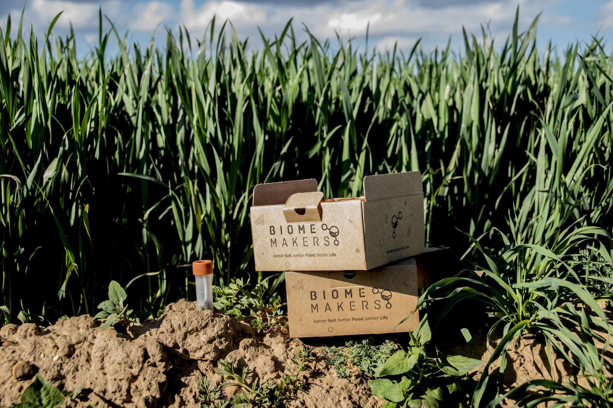 becrop soil testing