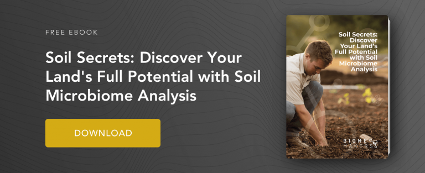 Discover Your Lands Full Potential With Soil Microbiome Analysis