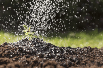 El secuestro de carbono es clave para la salud del suelo