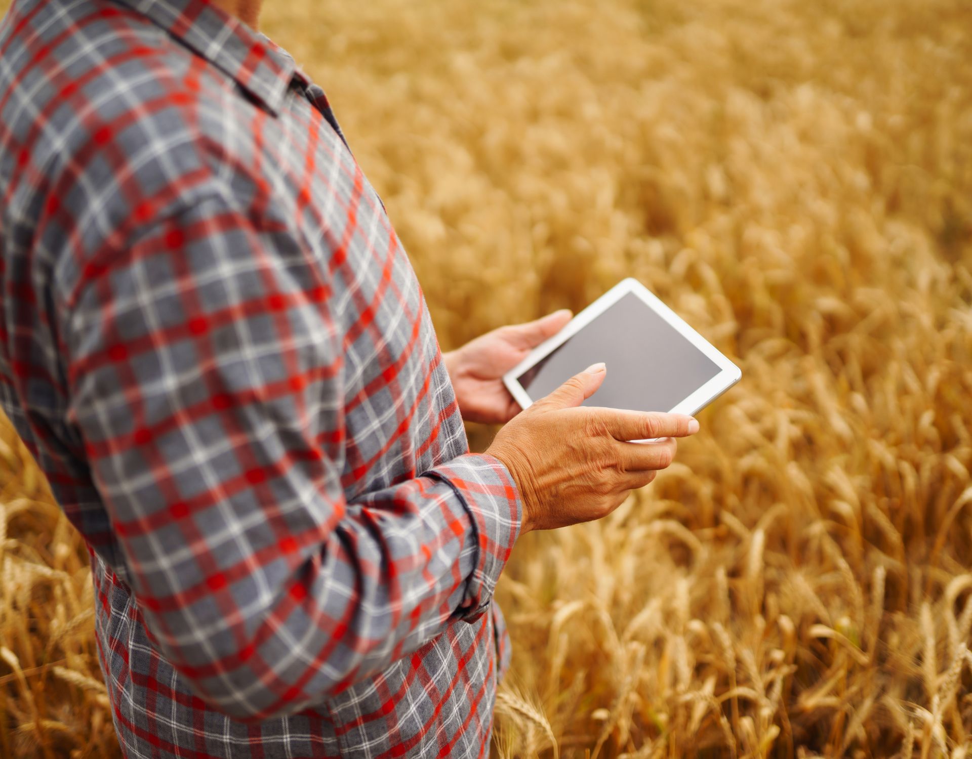The Digital Revolution in Agriculture