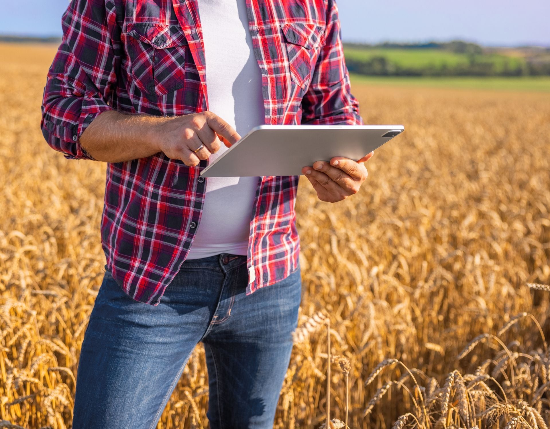 Grower using tablet on field