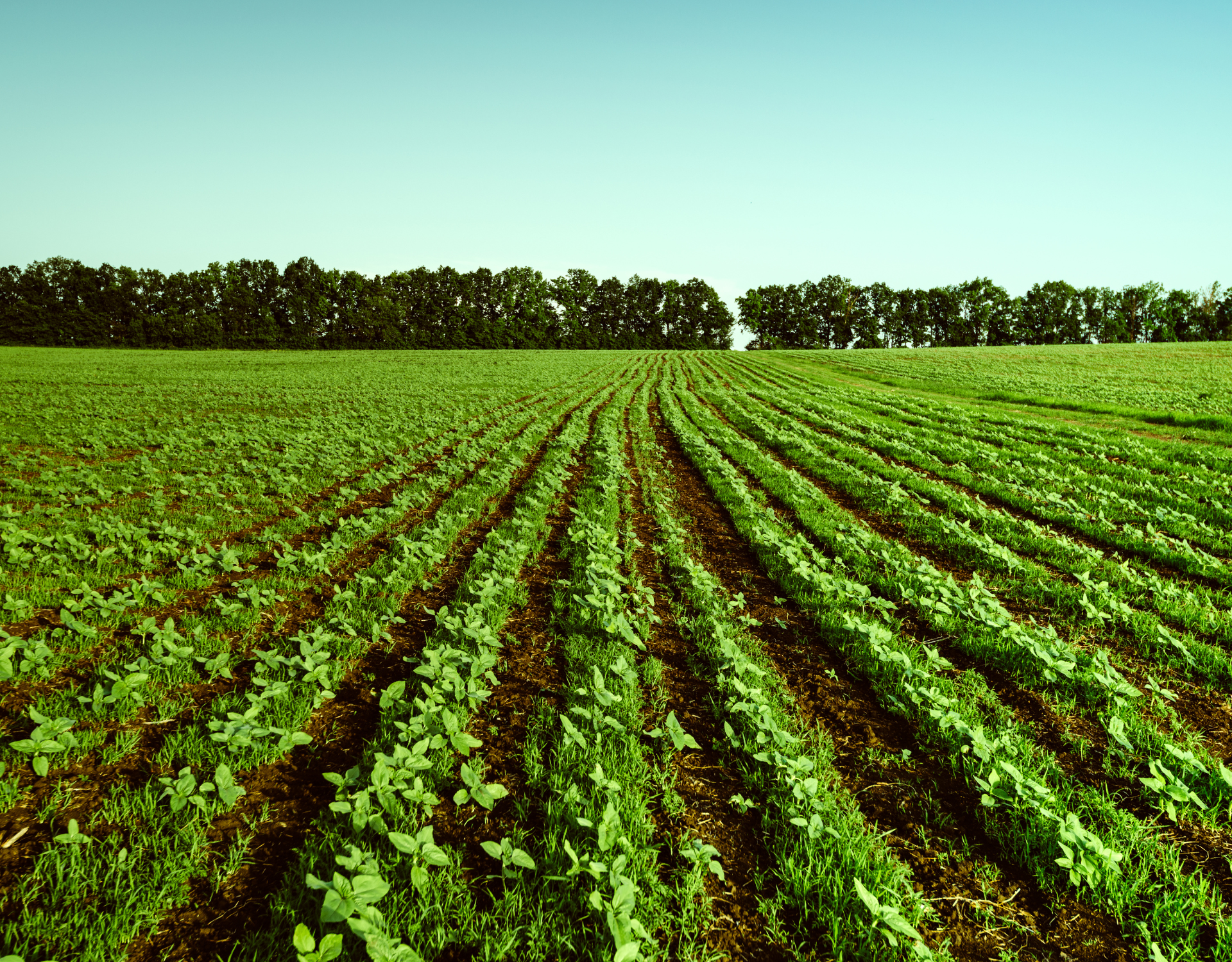 Early Warnings, Better Outcomes: Using Biological Testing at Early Growth Stages